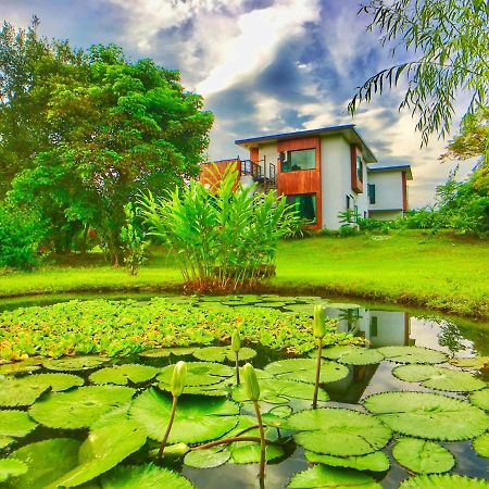 雲起軒民宿 Cloudscape B&B Цзянь Экстерьер фото